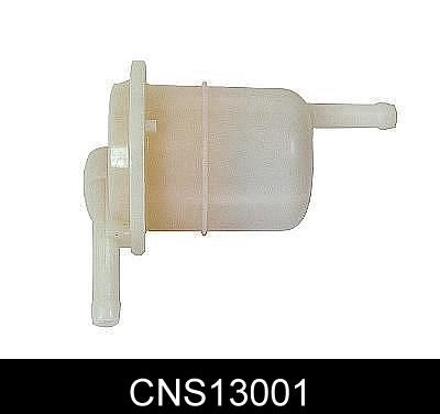 CNS13001
