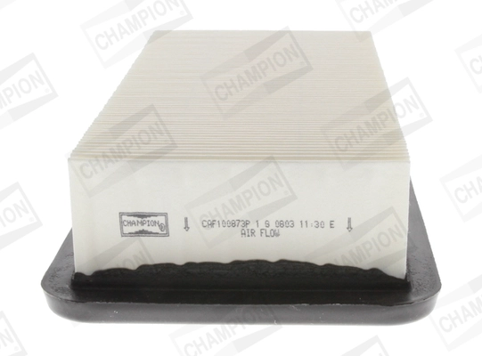 CAF100873P