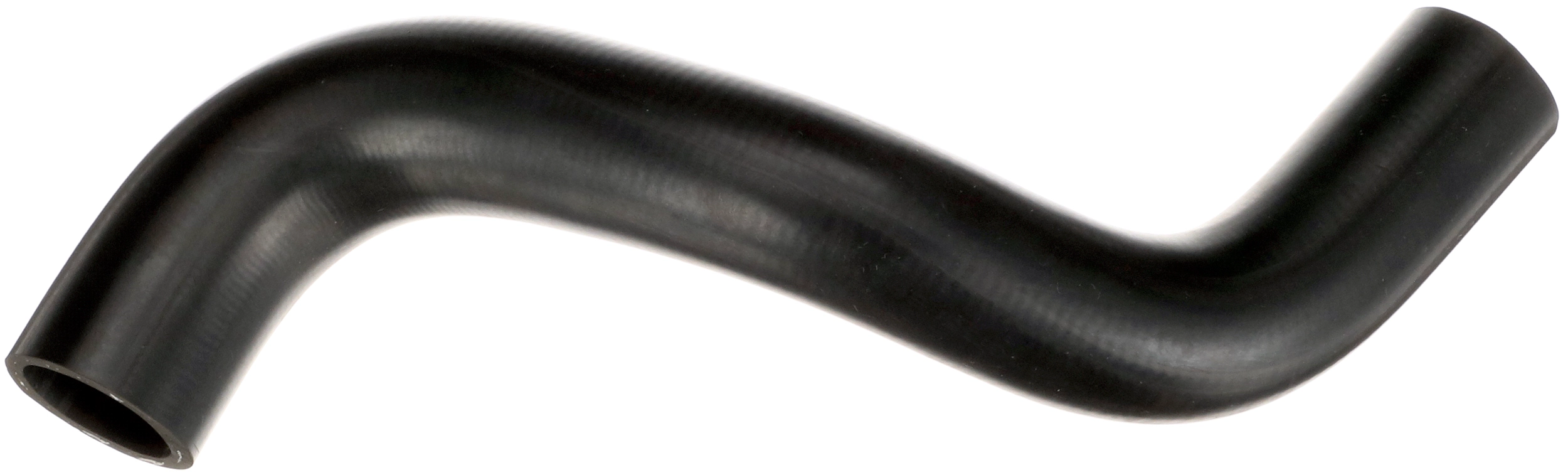 R40231