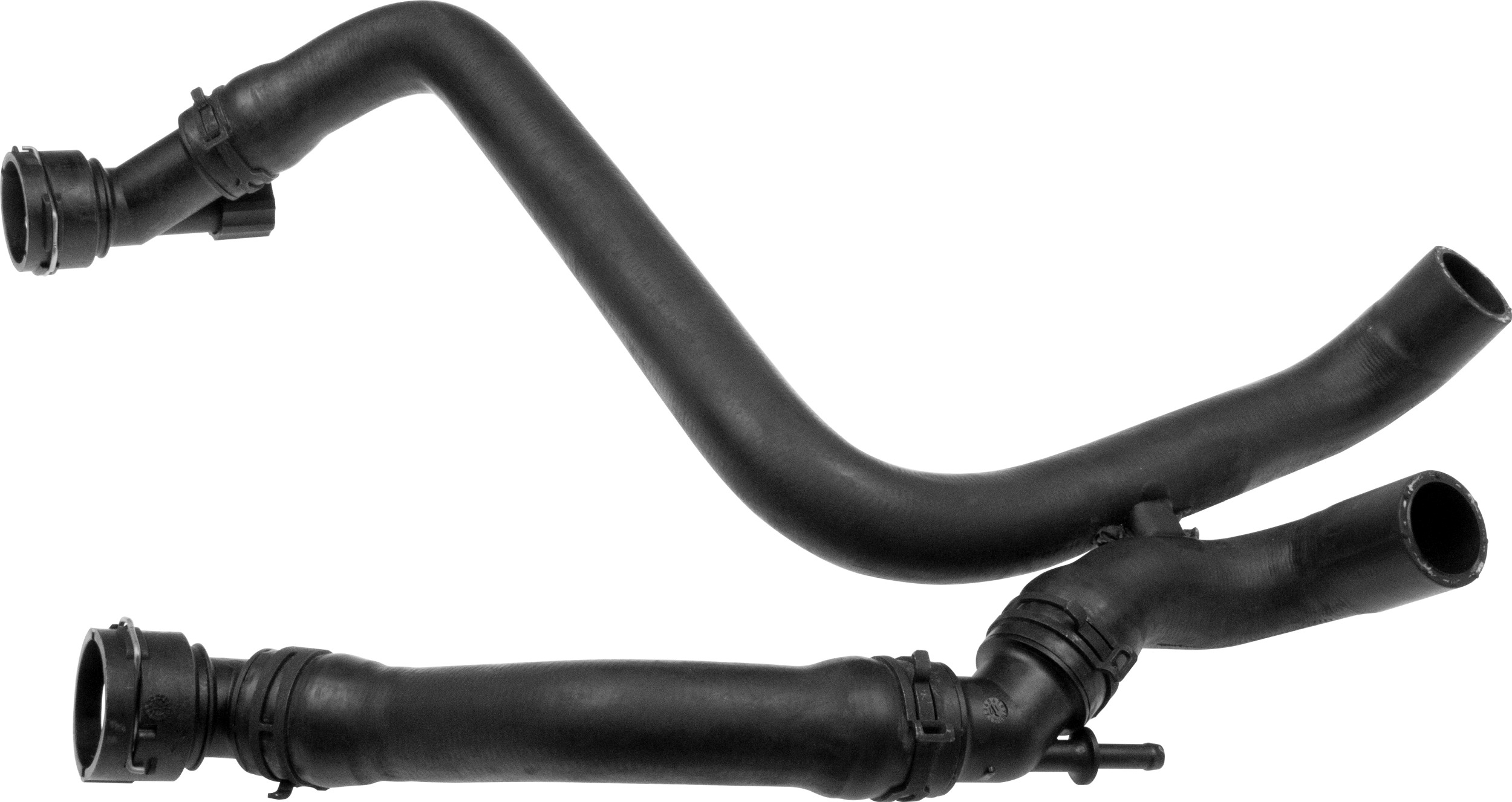 R25024