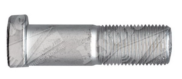 3144020071S3