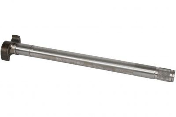 CF1001299