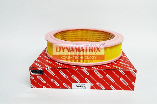 DAF317