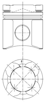 51.02511-7318