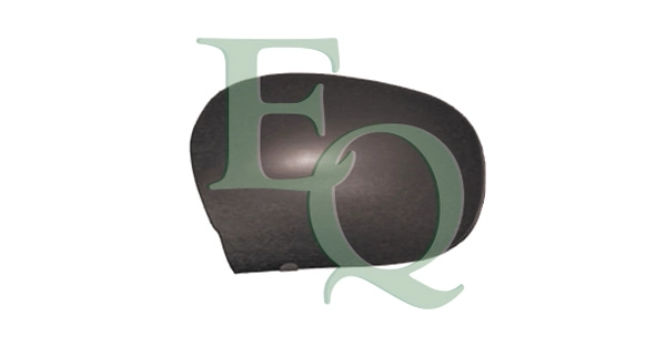RS00909