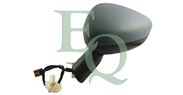 RS00509