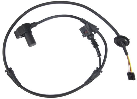 BSW1211