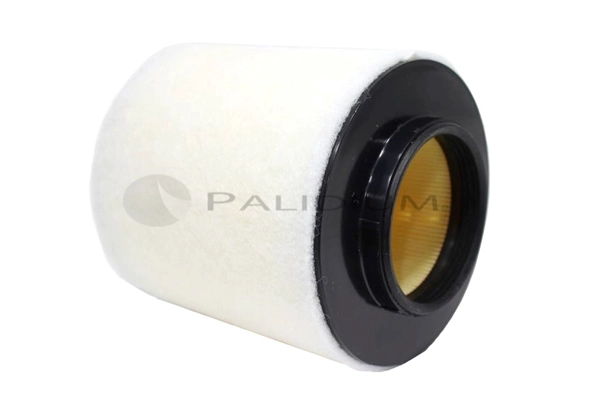 PAL2-2200