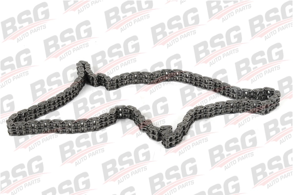 BSG 30-105-002