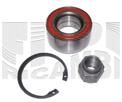 RK4019