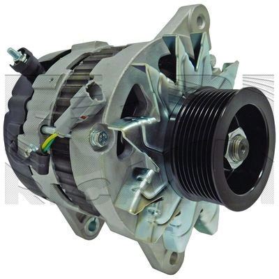 ANK616