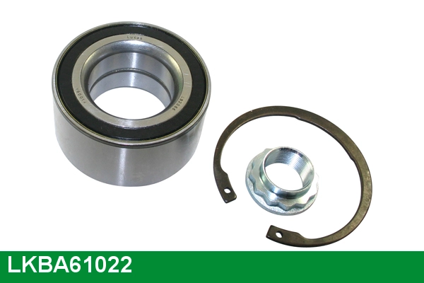 LKBA61022