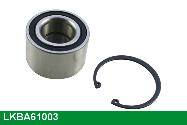 LKBA61003