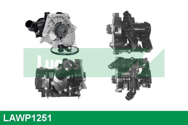 LAWP1251