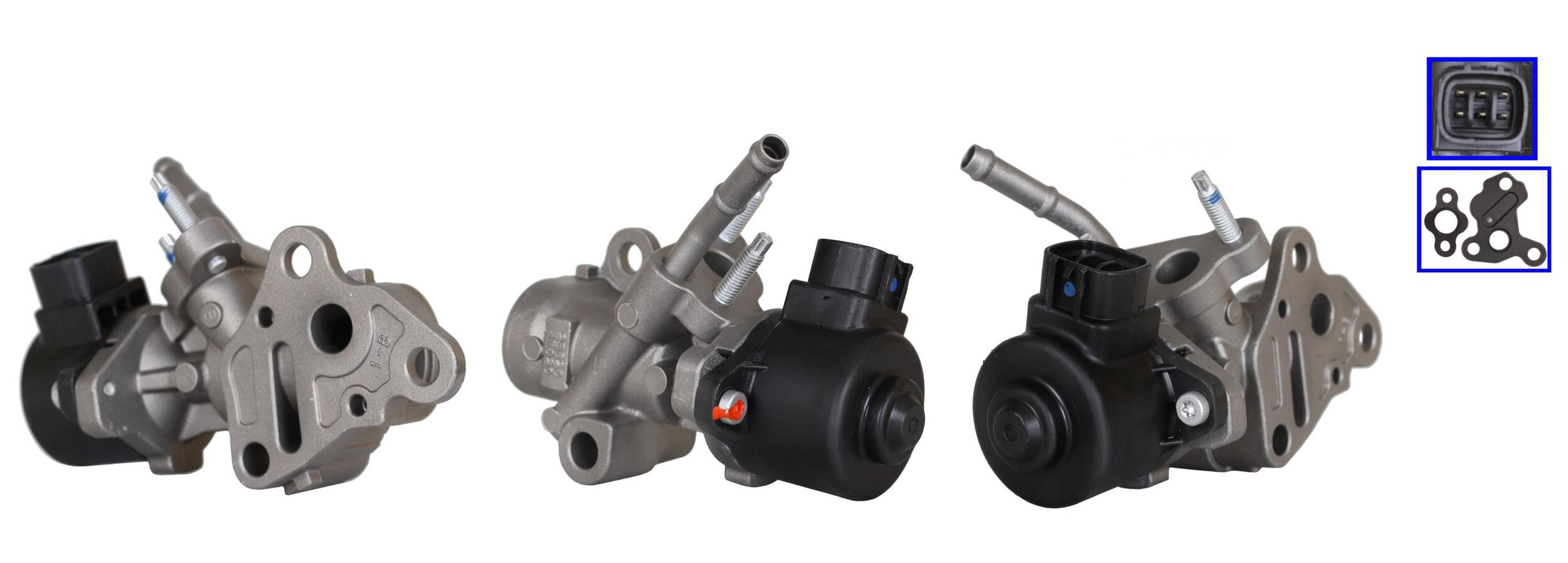 LEV2169