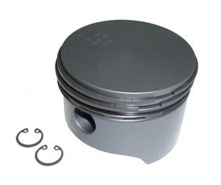 51541017204 (PISTON)