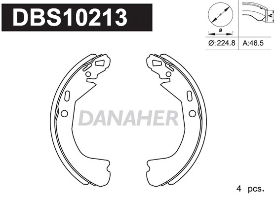 DBS10213