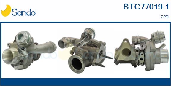 STC77019.1