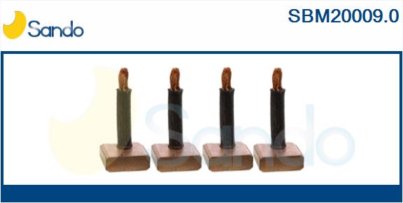 SBM20009.0