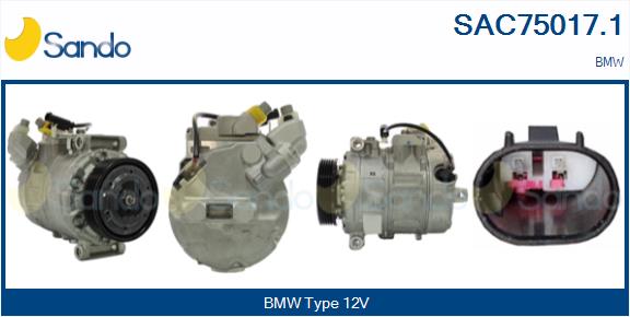 SAC75017.1