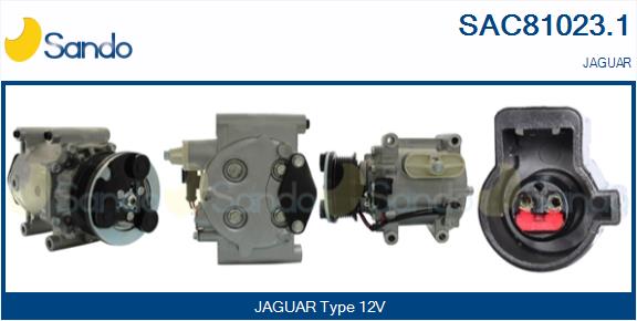 SAC81023.1