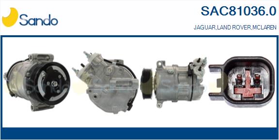 SAC81036.0