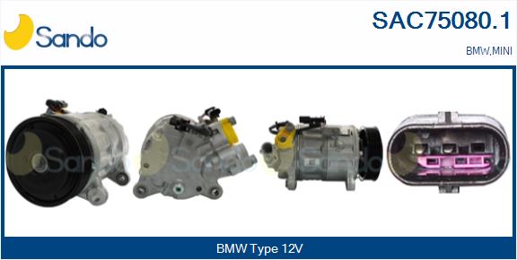 SAC75080.1