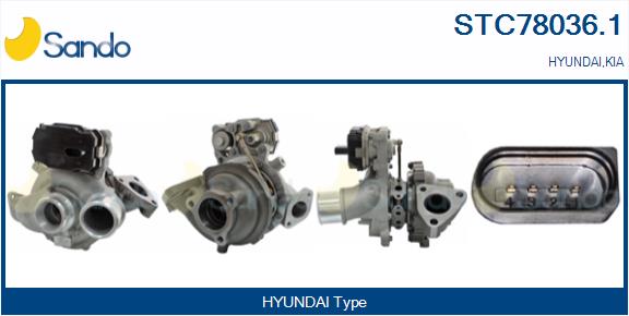 STC78036.1