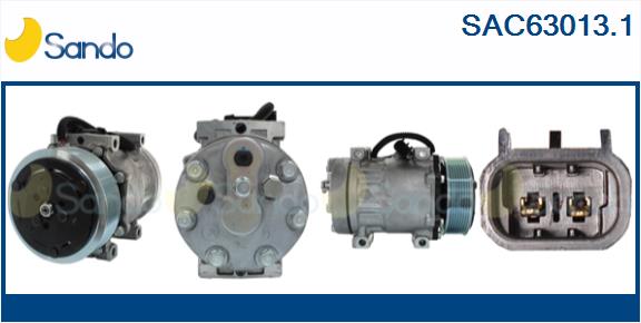 SAC63013.1
