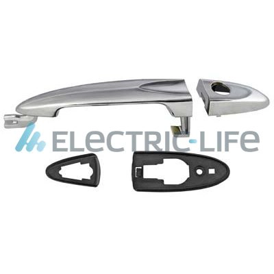 ZR80621
