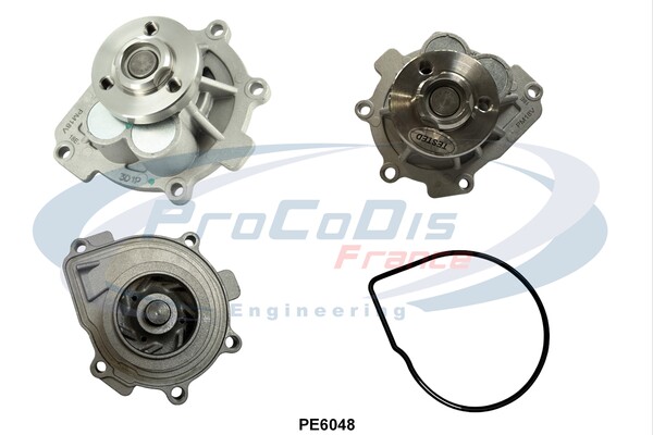 PE6048