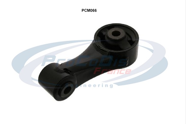 PCM066