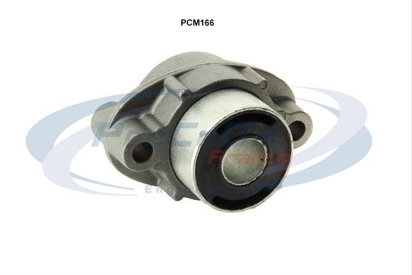 PCM166
