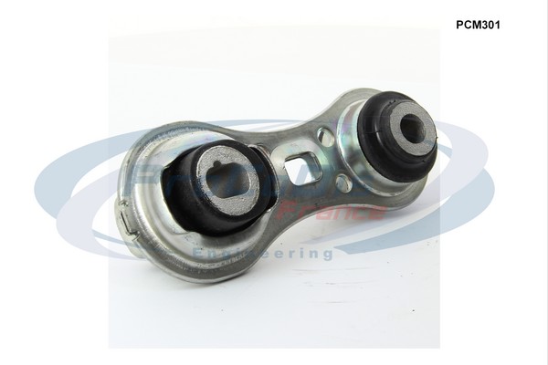 PCM301