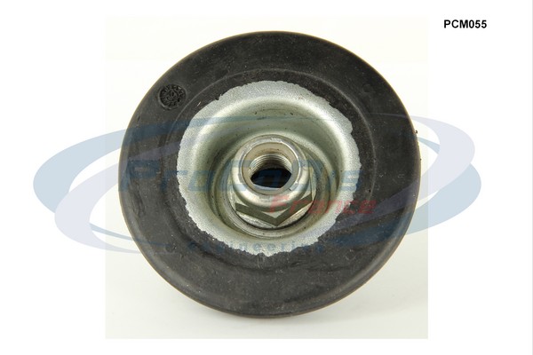 PCM055