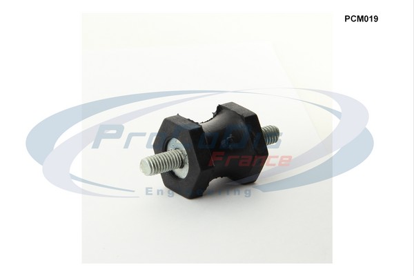PCM019