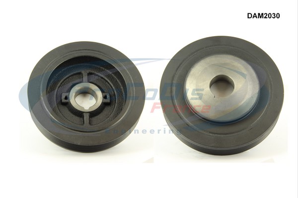 DAM2030