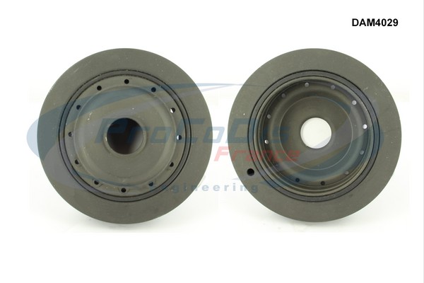 DAM4029