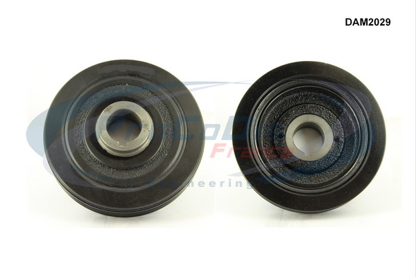 DAM2029