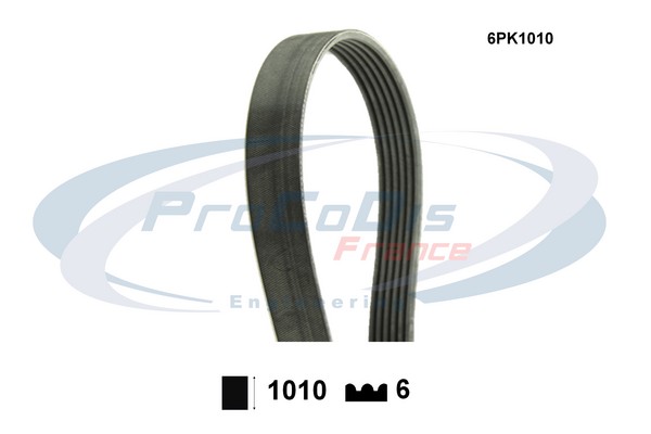 6PK1010