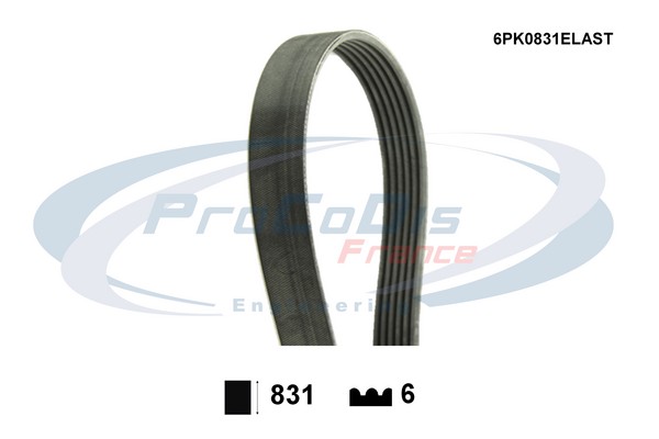 6PK0831ELAST