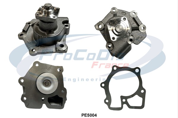 PE5004