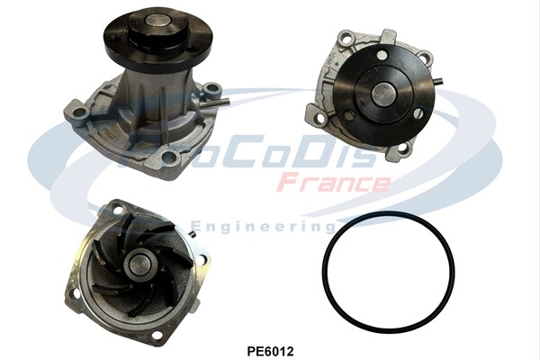 PE6012