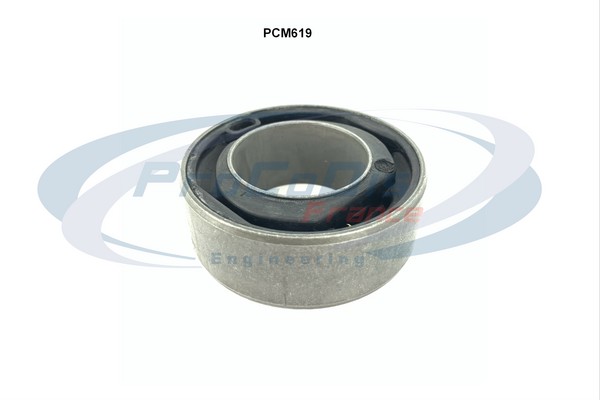 PCM619