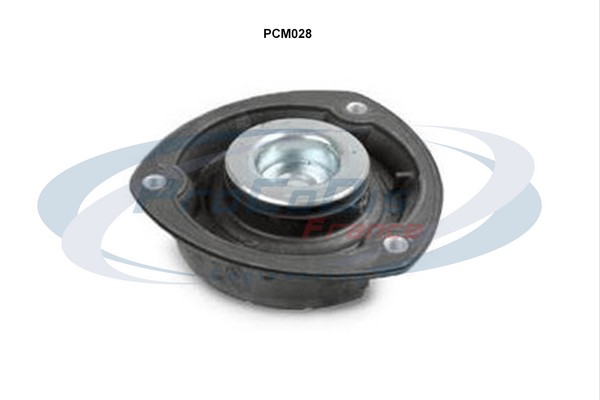 PCM028