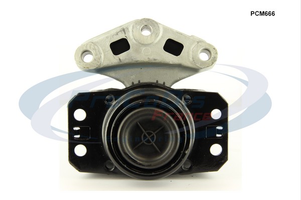 PCM666
