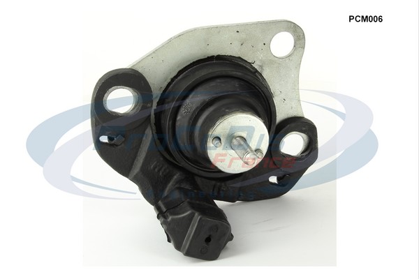 PCM006