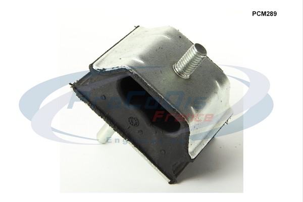 PCM289