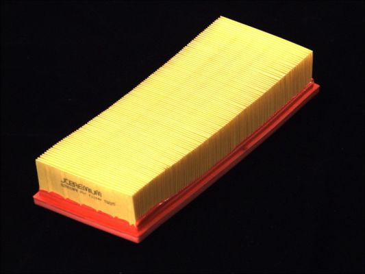 EFA250