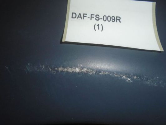 SALE-DAF-FS-009R_2